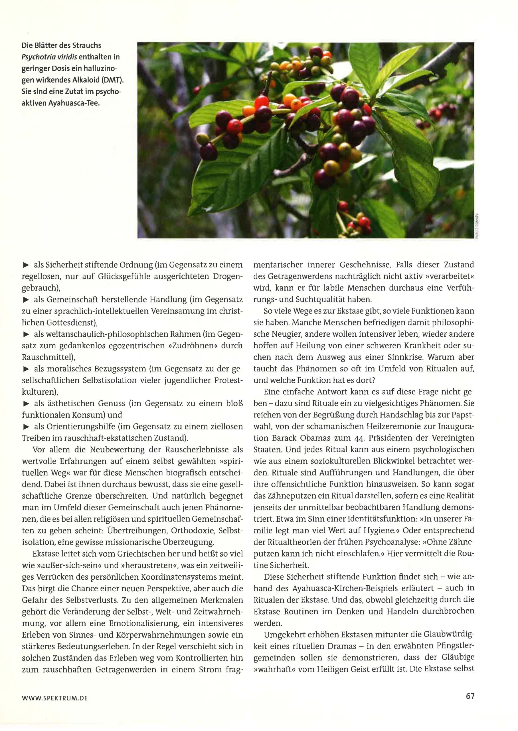 2011 Spektrum der Wissenschaft Spezial Rituale_Seite_7