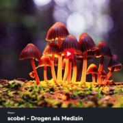 scobel - drogen als medizin 1
